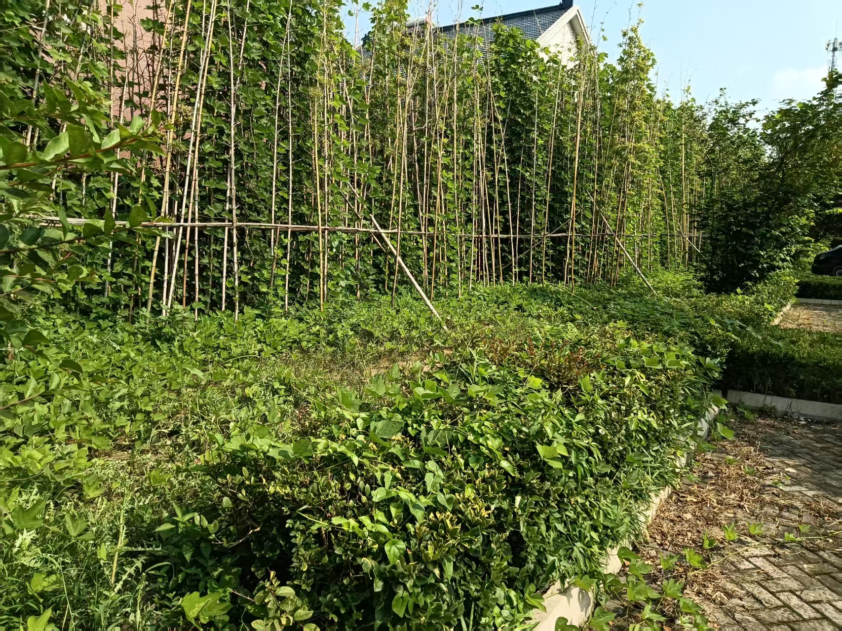梅兰路东侧停车场