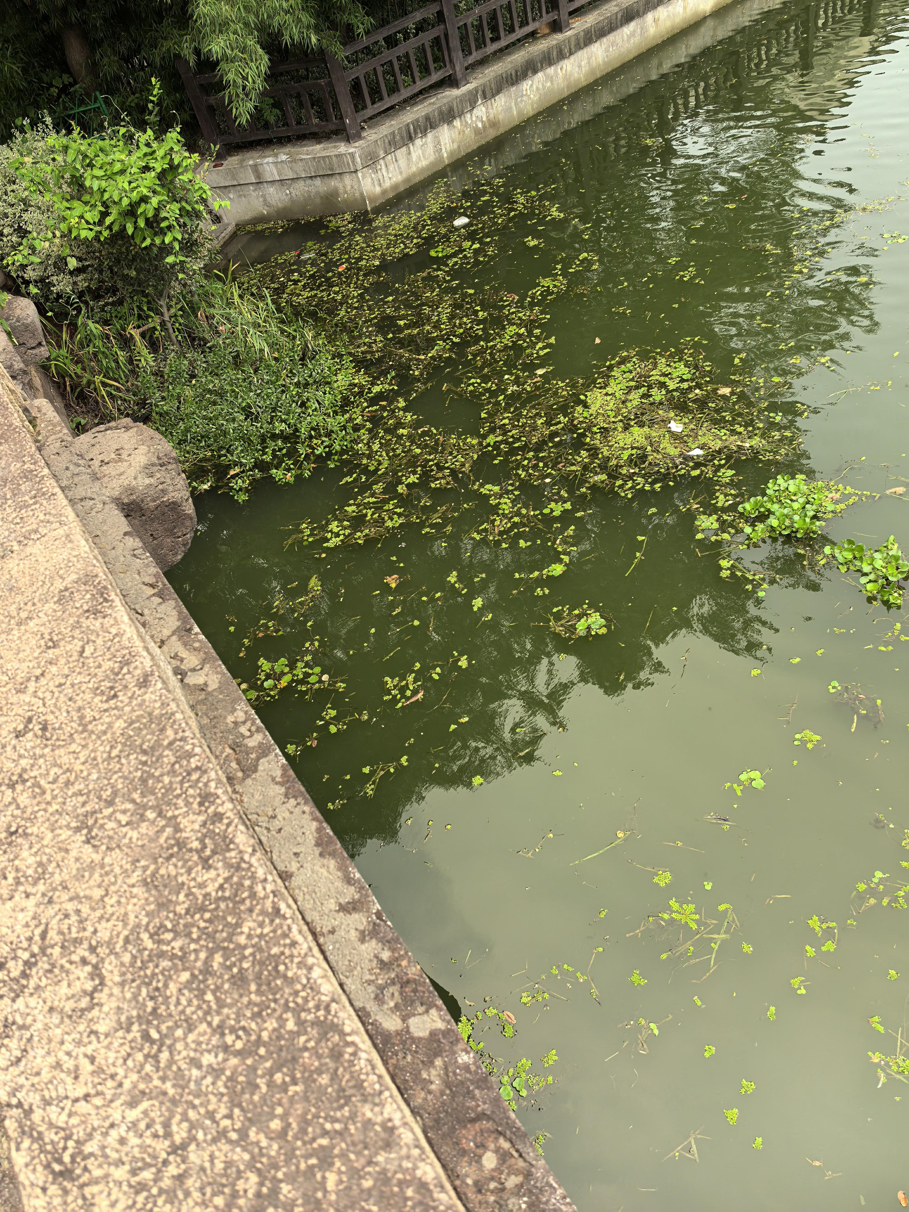 IMG_20250804_183421[1]_AI看图.jpg