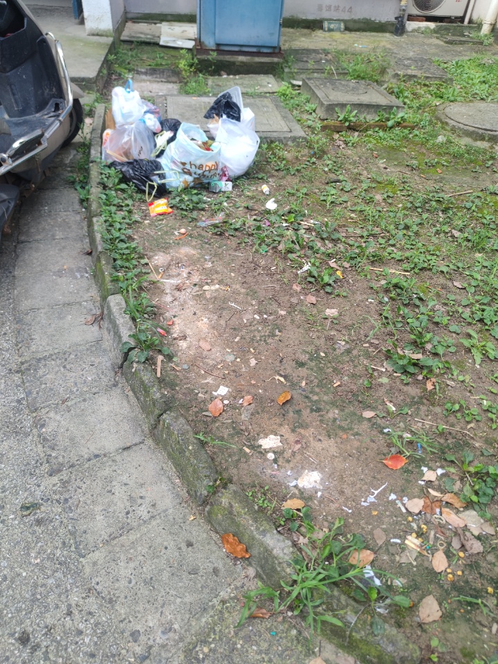 IMG_20250805_080356.jpg