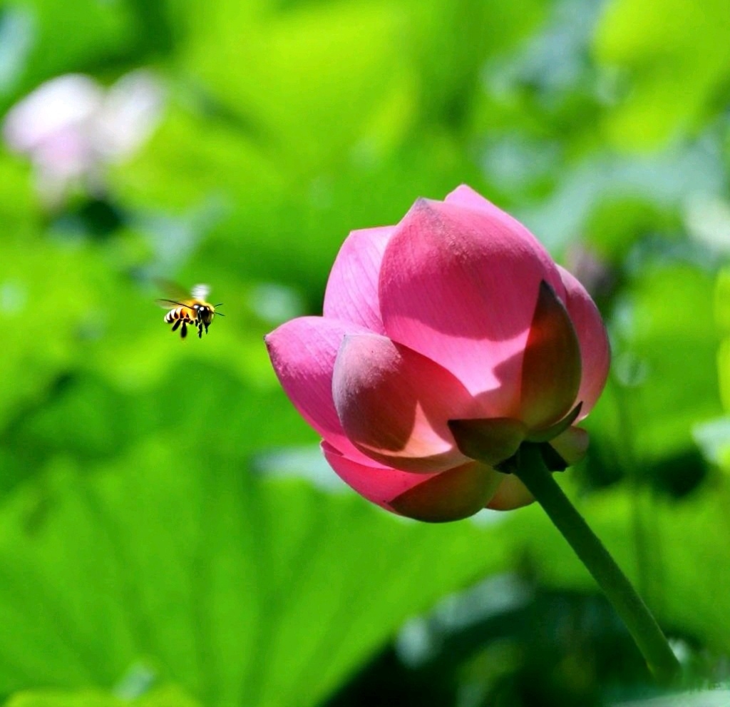 share_image_1755135649045_edit_567568985561829.jpg