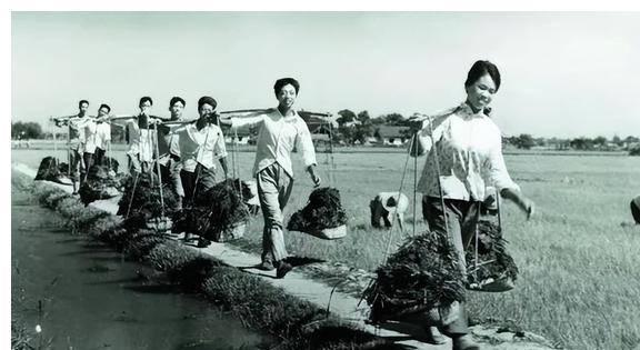 下载 (28).jpg