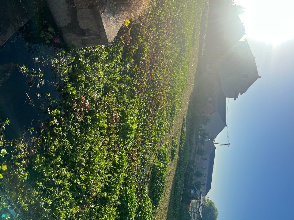 IMG_0521.jpeg