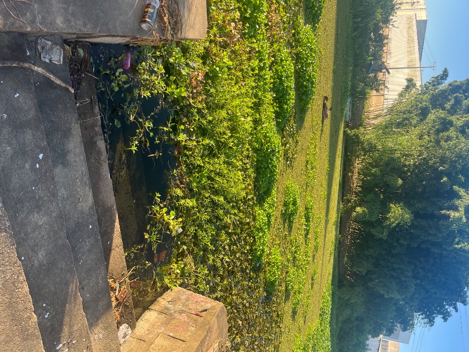IMG_0519.jpeg
