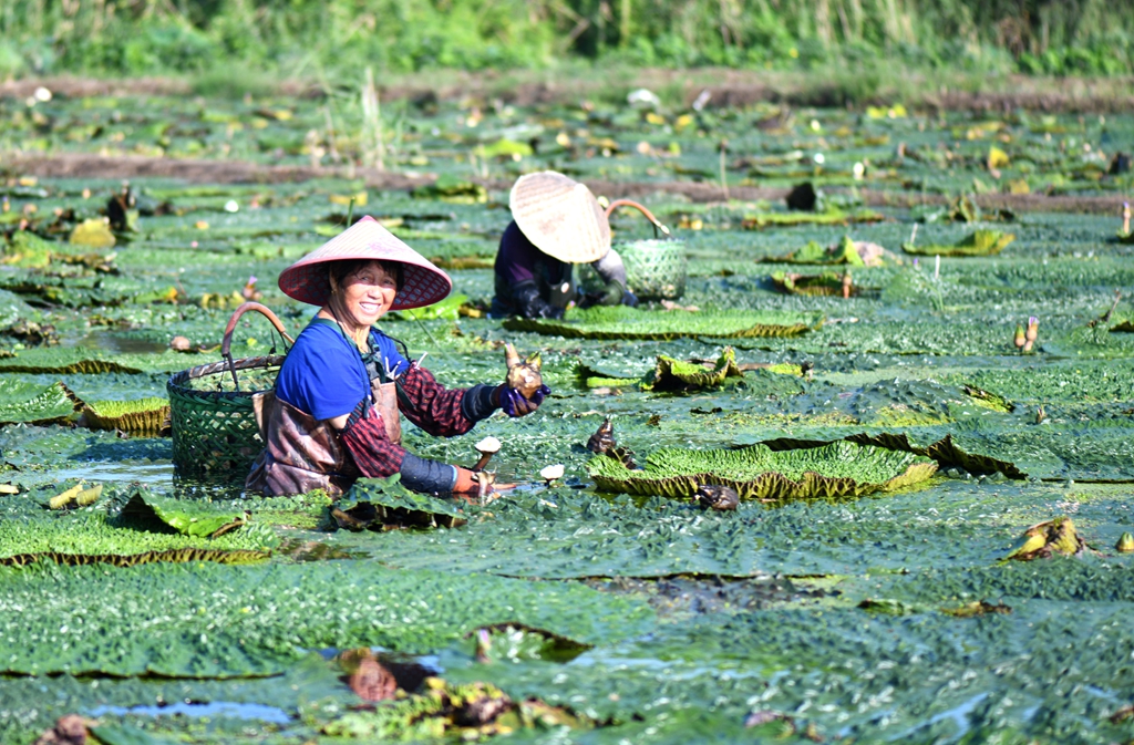 DSC_8108--8_副本_副本.jpg