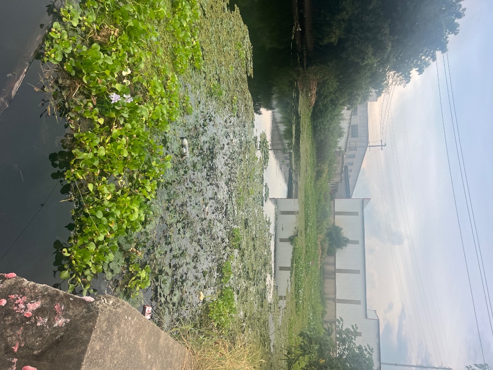 IMG_0538.jpeg
