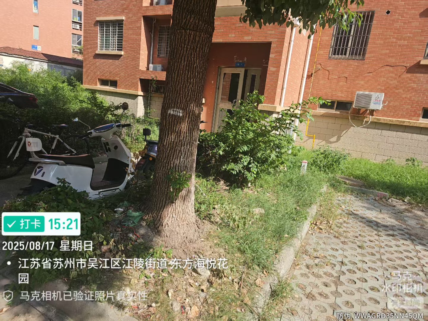 20250826115146front1_0_533736_FtFRvCJFSxSmV47Lcwc7gaETt-ku.jpg