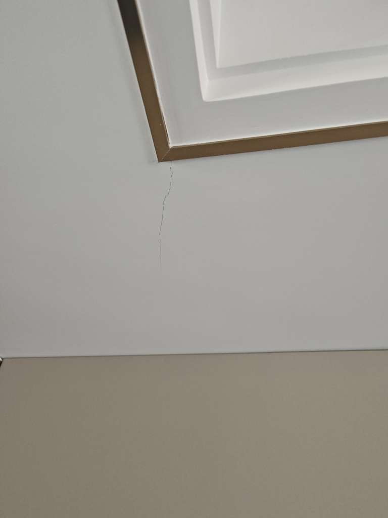 IMG_1466.jpeg