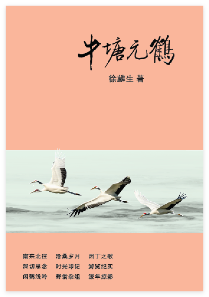 ntyh 01.png