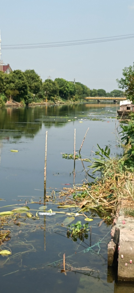 IMG_20250905_100322.jpg
