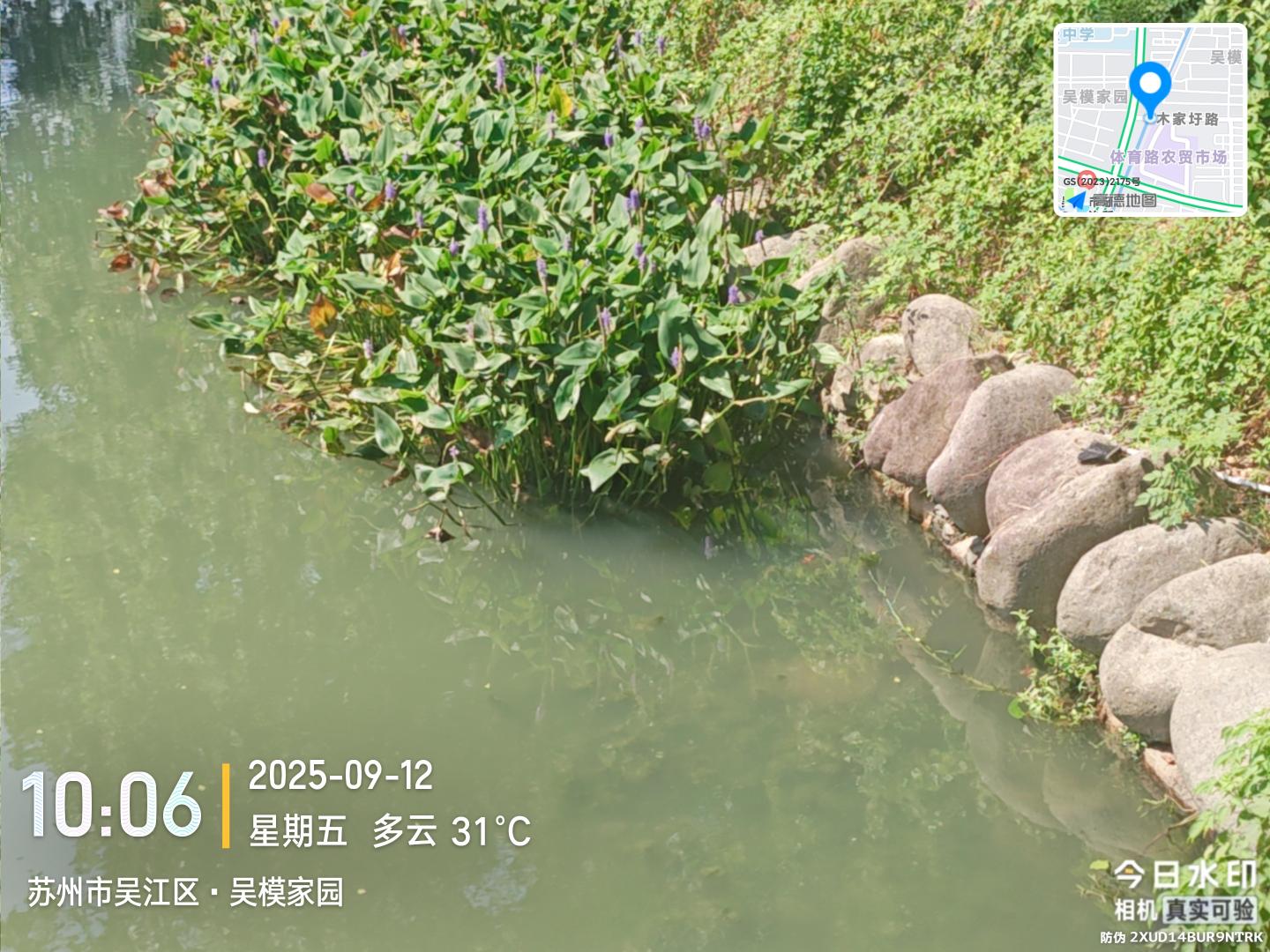9986a2480cb366f6b8f0d883e125a1b2.jpg