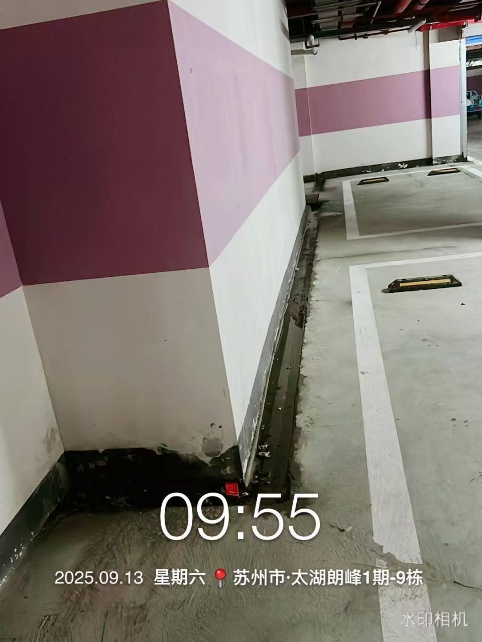 20250913160526front2_0_160769_FkXoPl_Xn_hBofKMj1f1KzyfMDb3.jpg