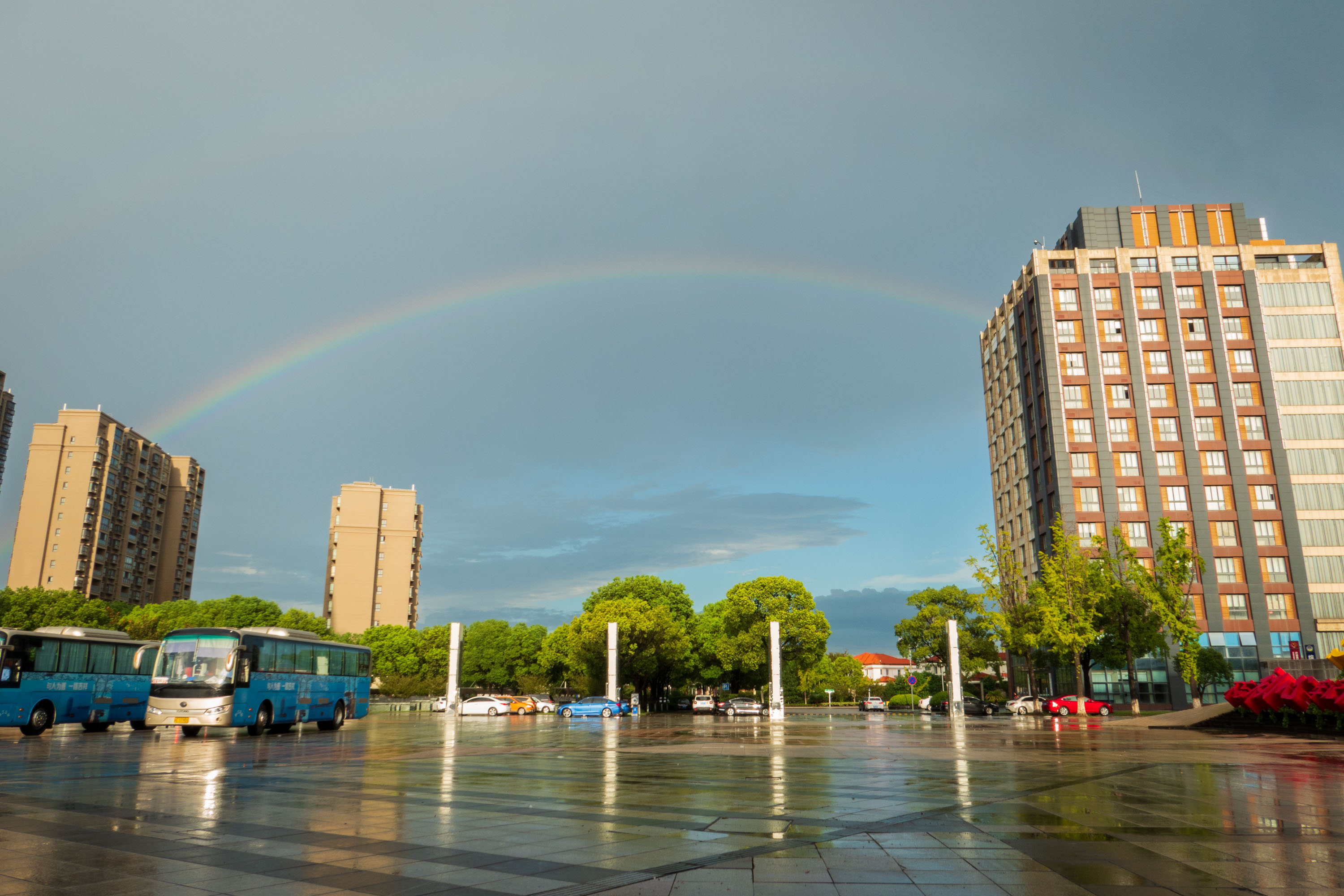 P1030380_2.jpg