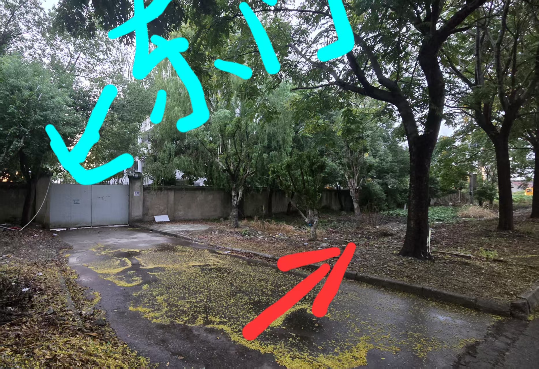 微信图片_20250919103415.jpg