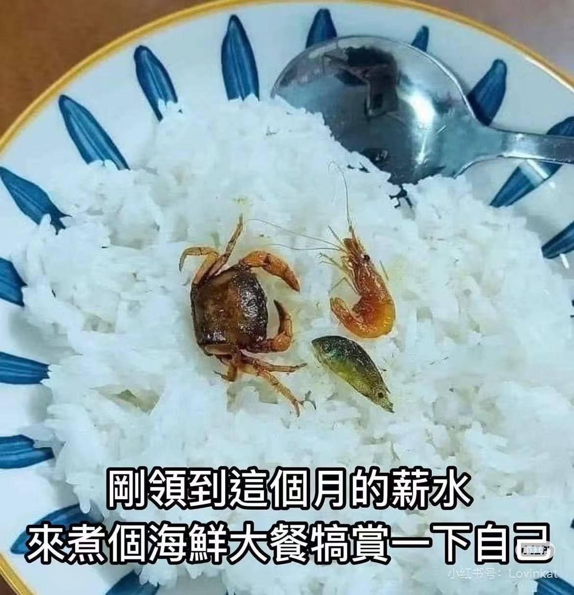 1111.jpg