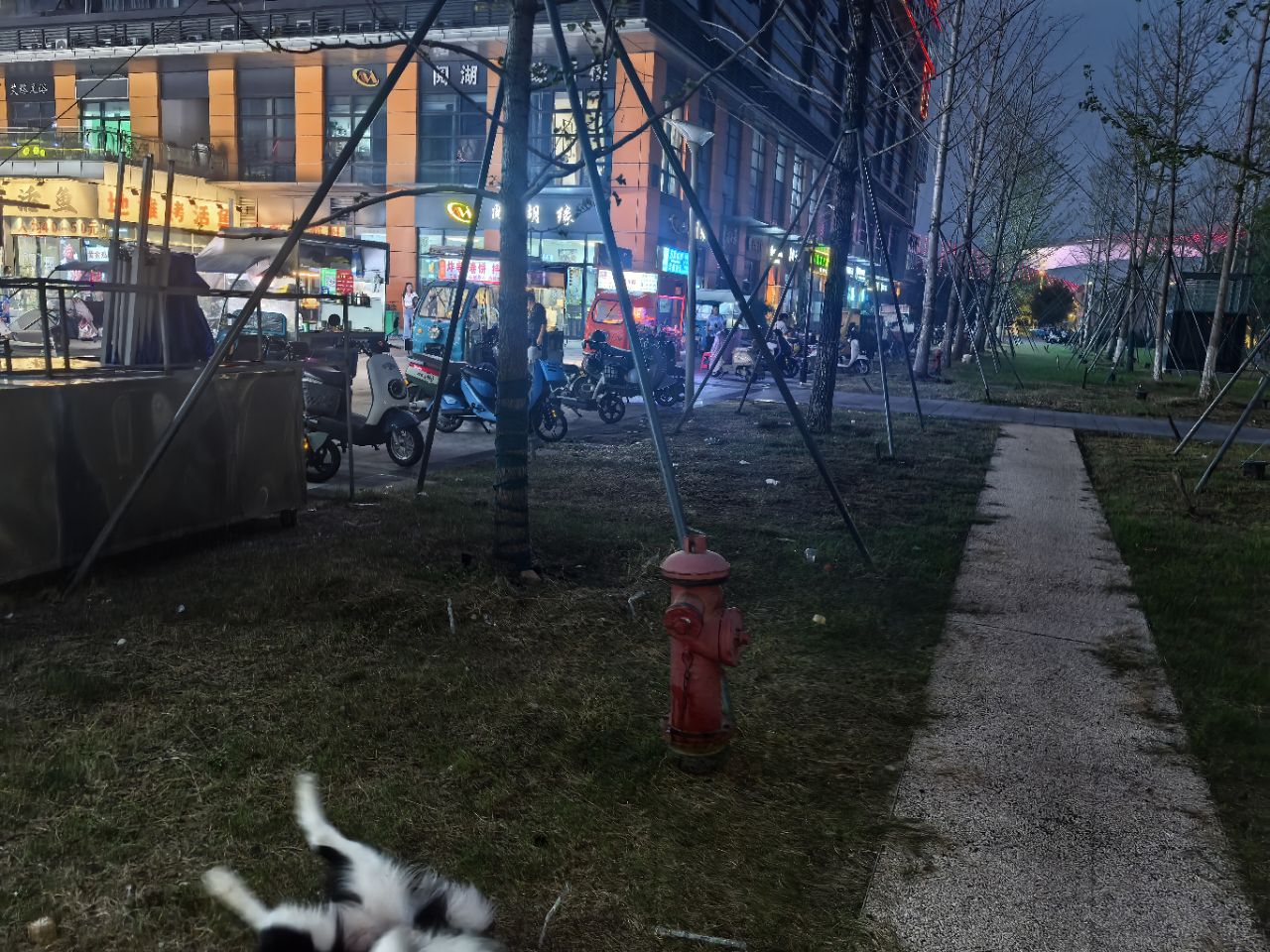 20251003193004front2_0_399663_FuaoiRjaOhnV-GWLVPn_-cmiRvw5.jpg