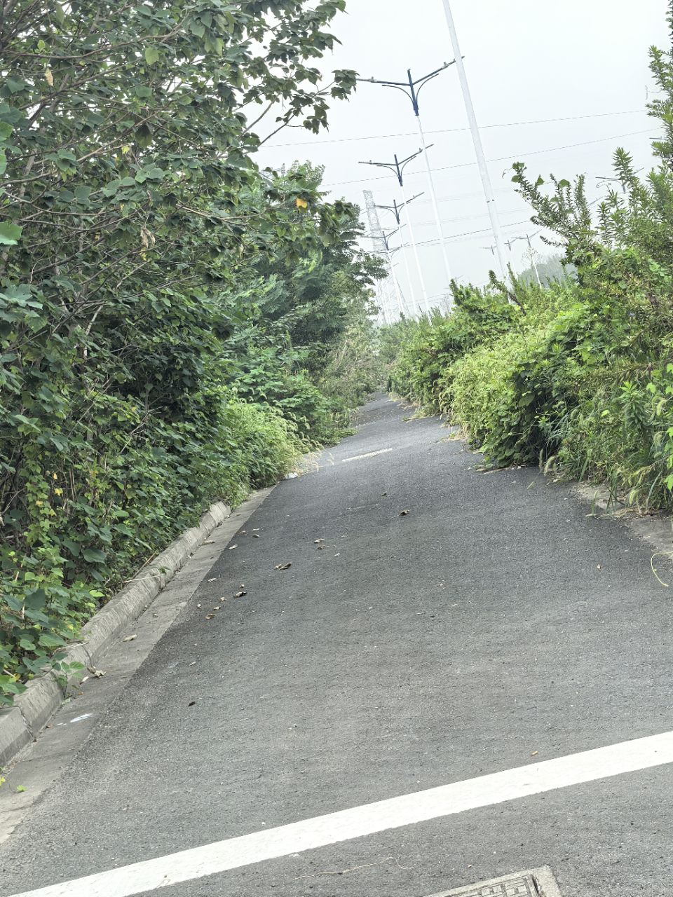 20251019084515front2_0_482407_FuKUW0_1cgf2kG4gYvHd56VOhRyu.jpg
