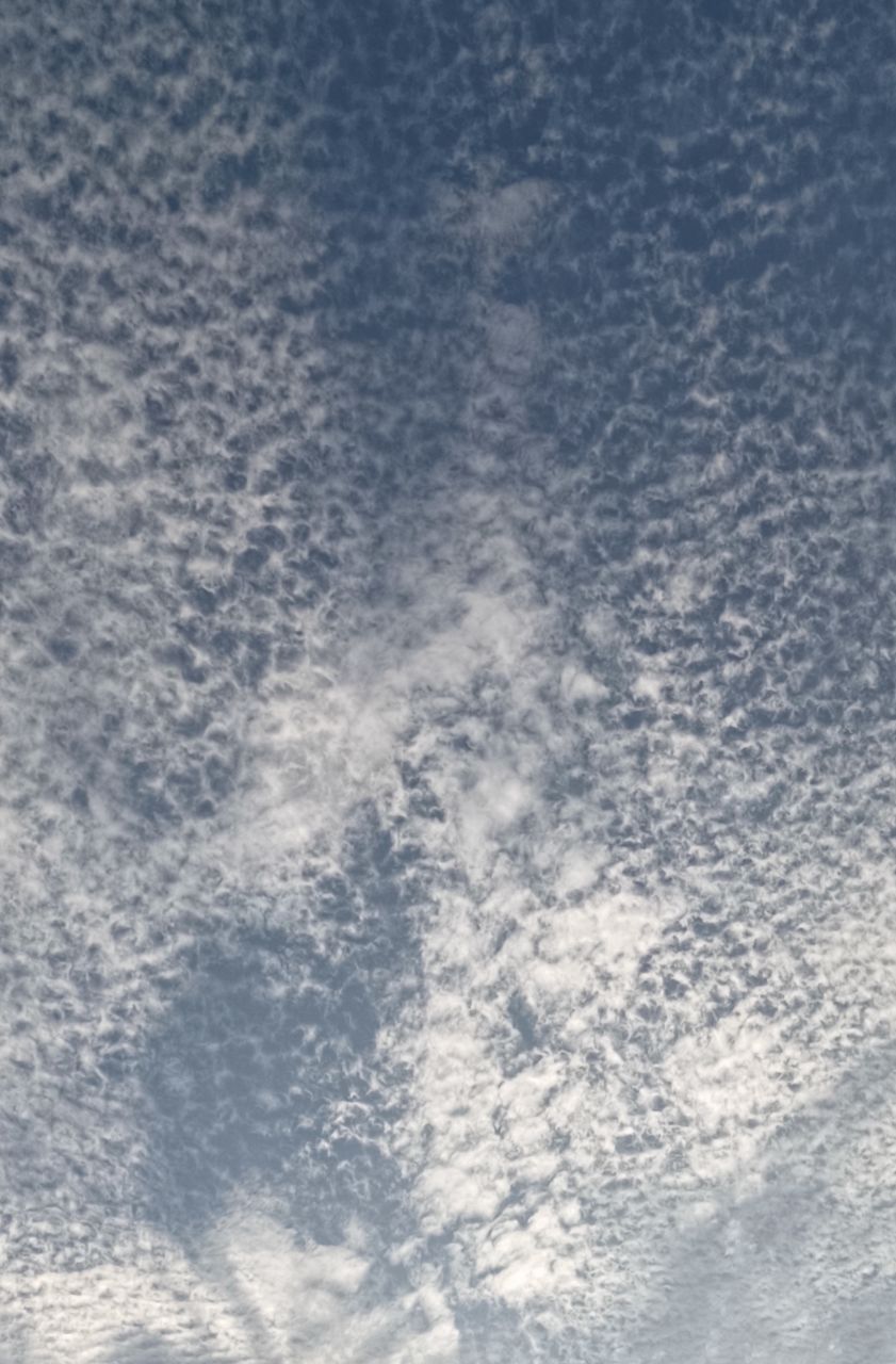 20251026074842front2_0_109756_Fn0X_8NT-wdkAHu90SvXlzv05nmH.jpg