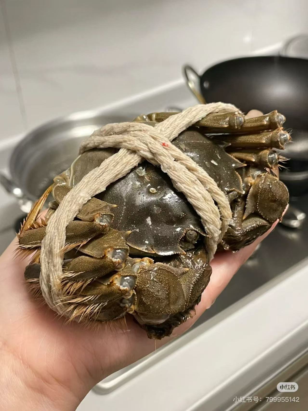 螃蟹.jpg