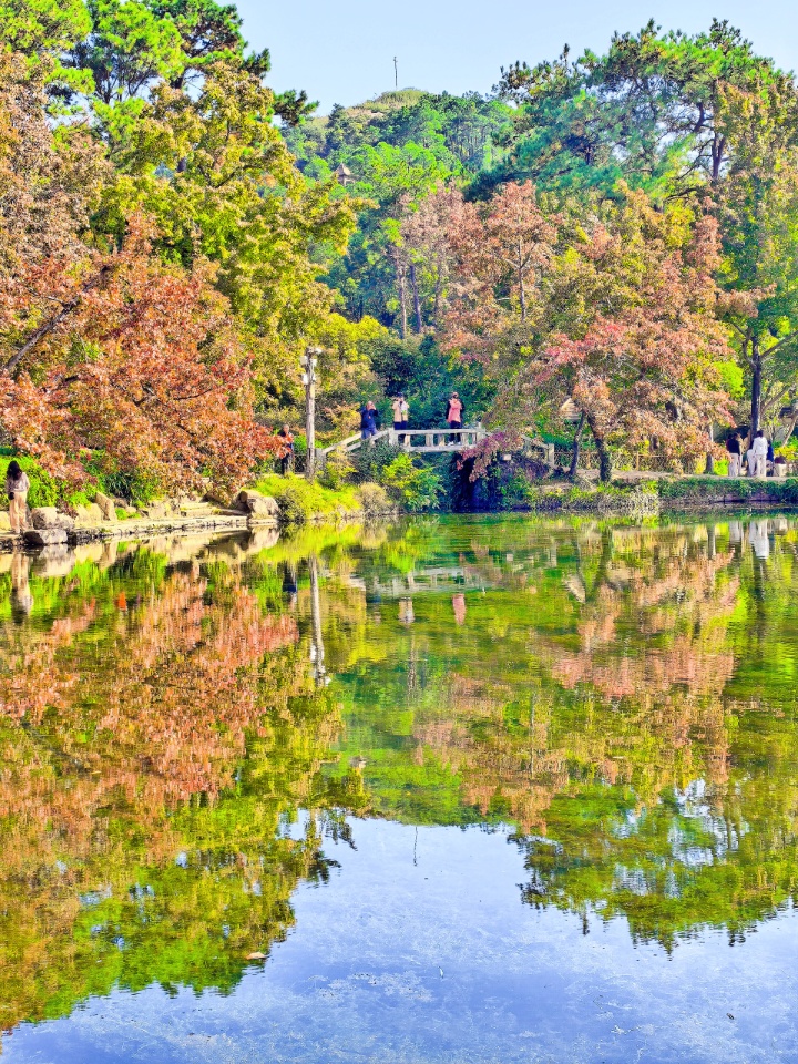 IMG_PITU_20251106_213057 (1).jpg