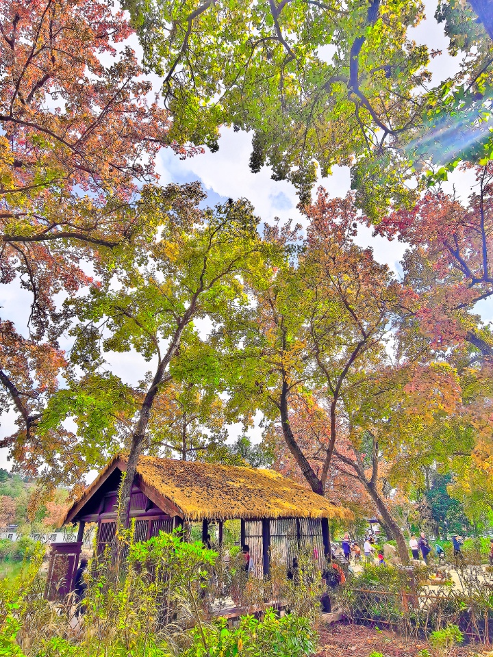 IMG_PITU_20251106_213031 (1).jpg