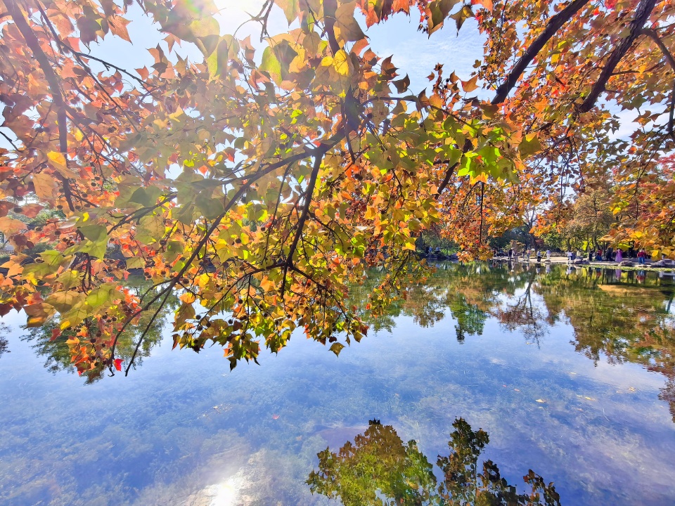 IMG_PITU_20251106_213048 (1).jpg