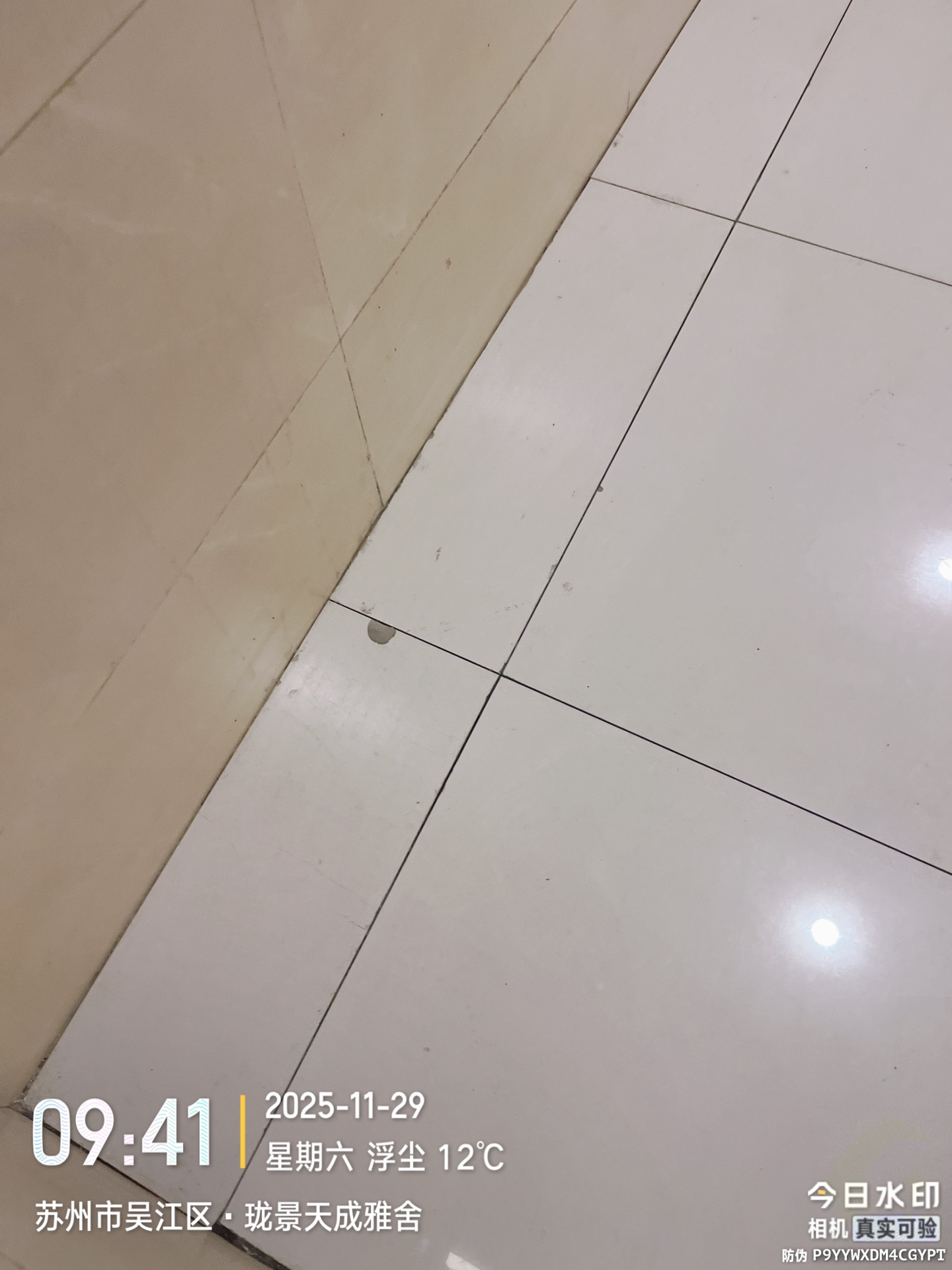 20251129172328front1_0_441217_FsDwuTpnKiXxOsqAC1nMW9fWK6Xc.jpg