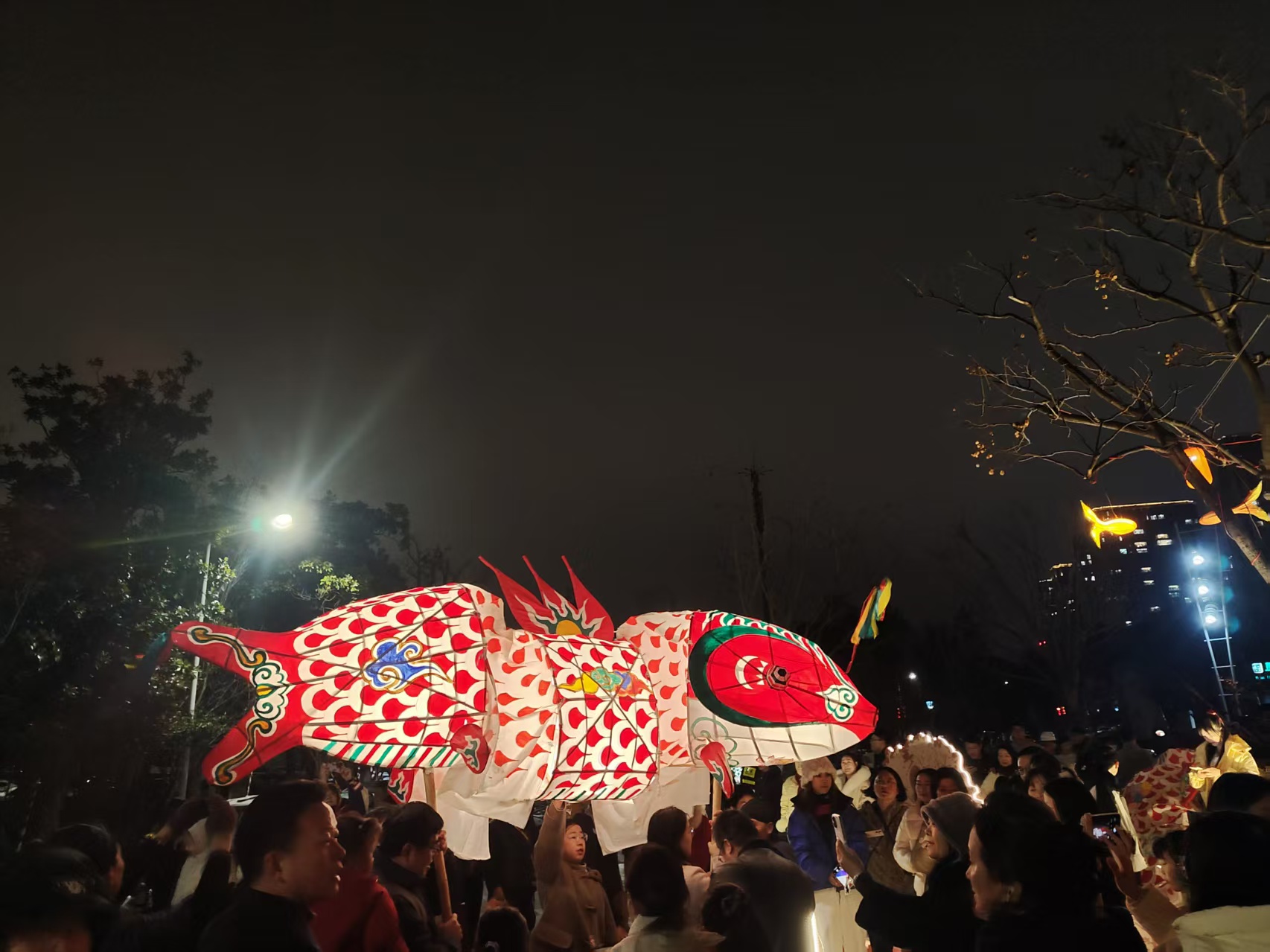 名称：鱼灯巡游，地点：东太湖梅庄，时间：2026年3月2日