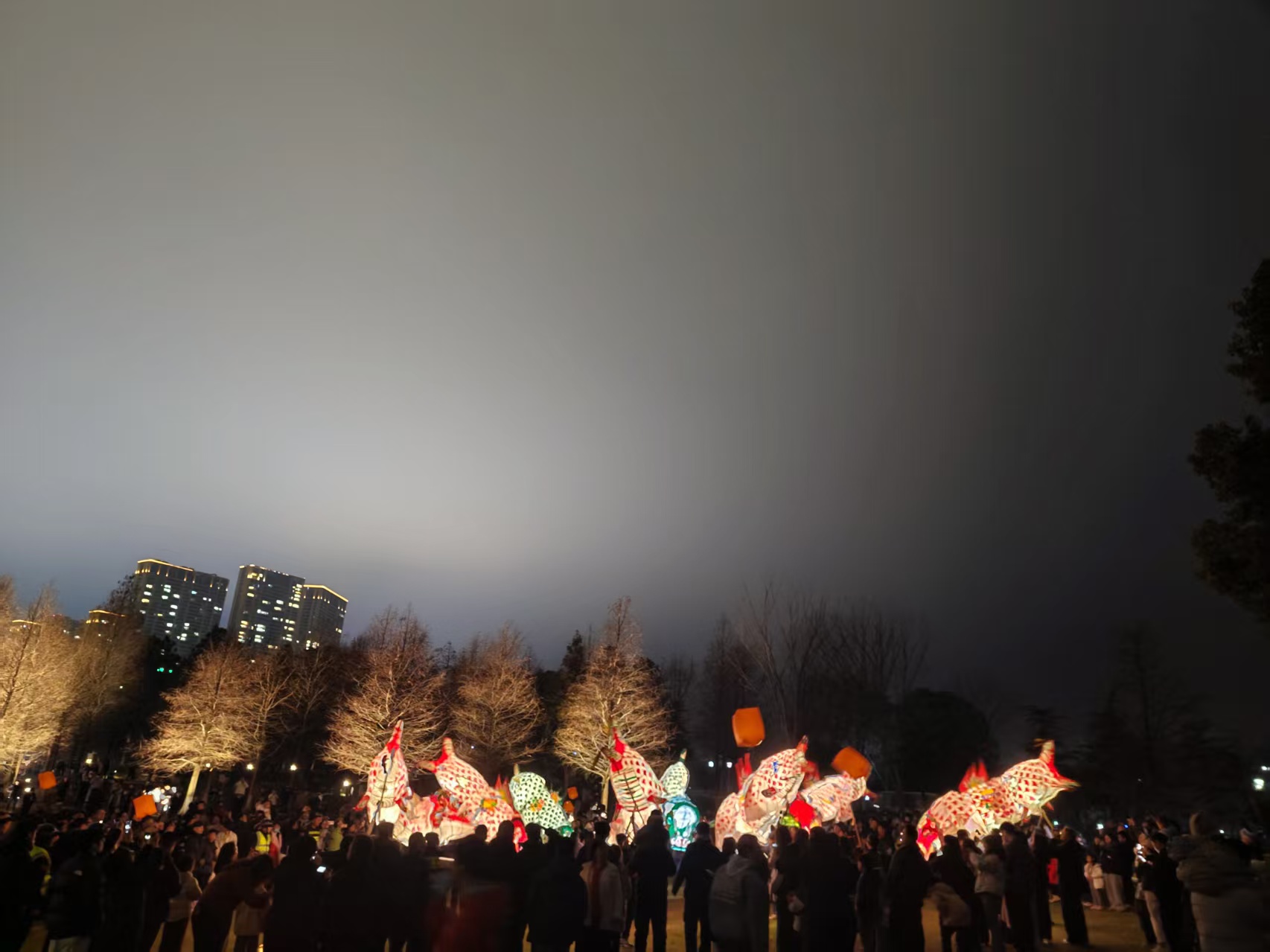 名称：鱼群云集，地点：东太湖梅庄生态园，时间：2026年3月2日