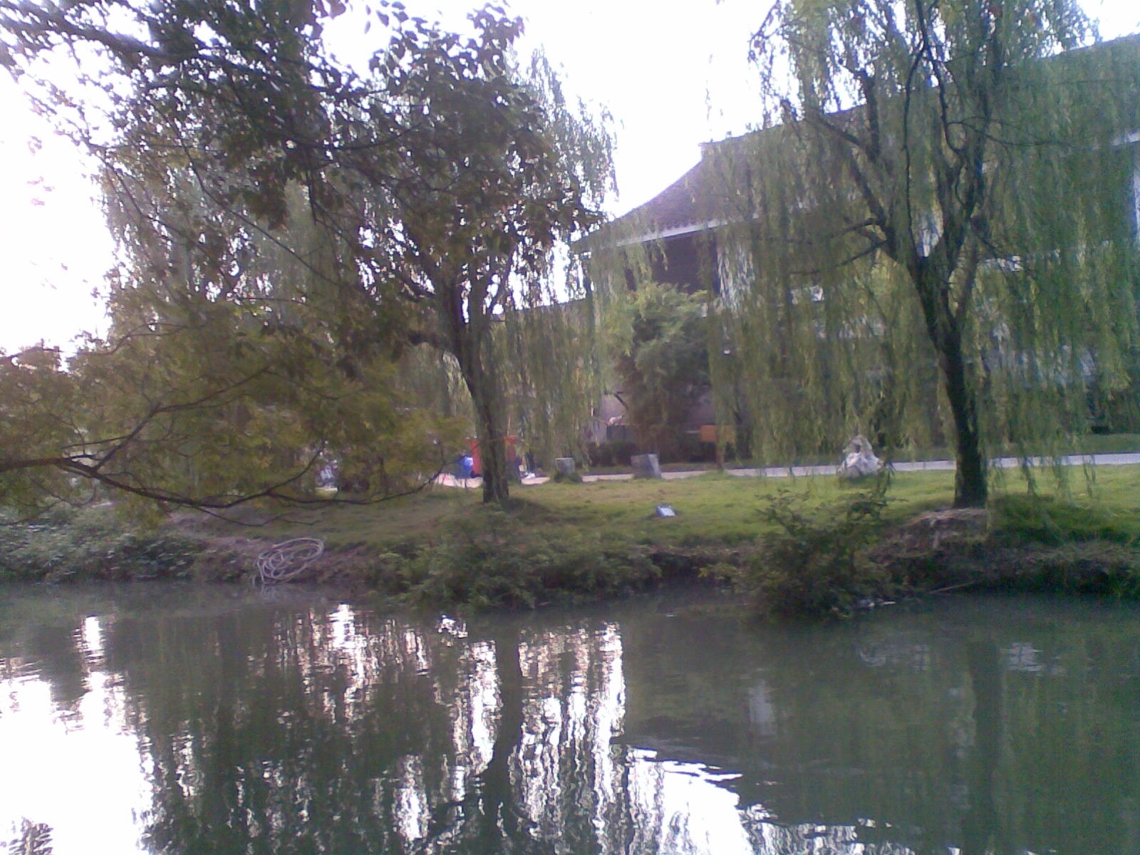 春天来了,有没有一起踏青的