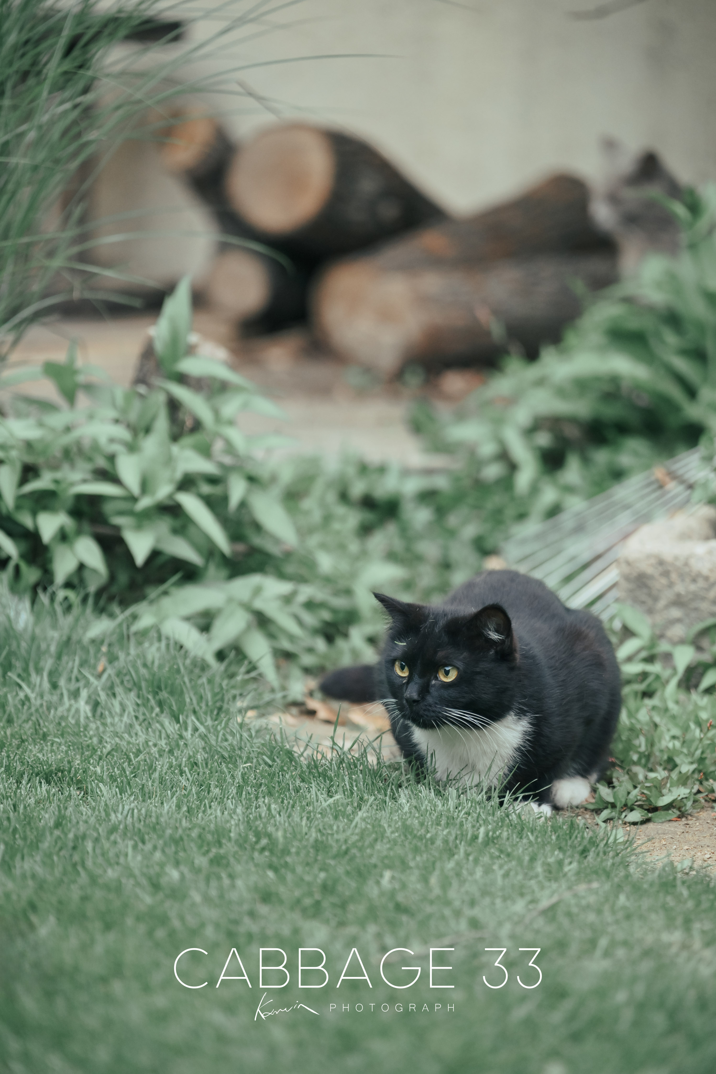 DSC_9330.jpg