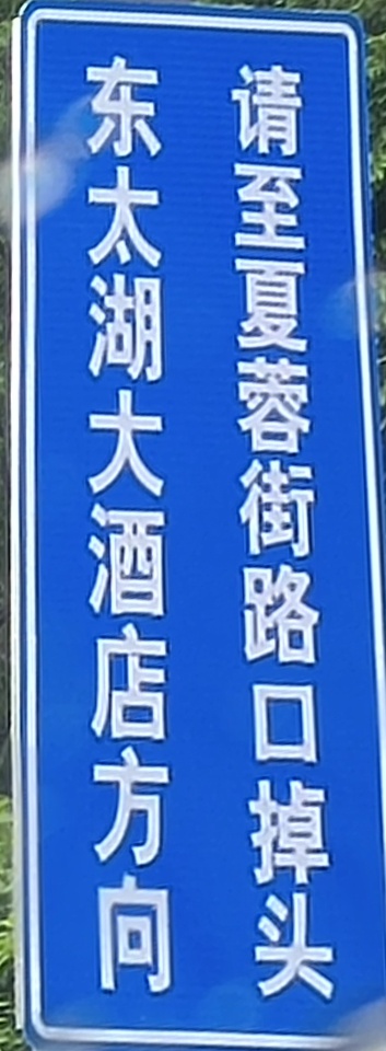 1000049565.jpg