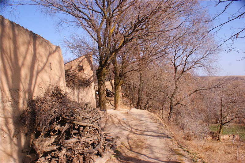 0466-fwnpcnt8216127.jpg
