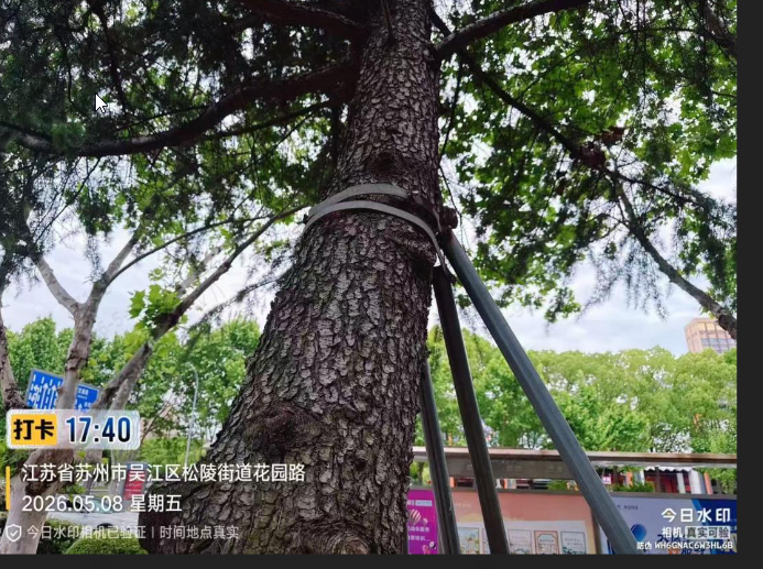c80b77cc-1544-40b9-ae63-5c5aa2895eab.png