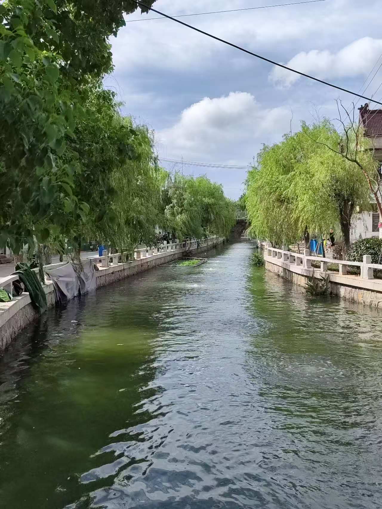微信图片_20260509101450_502_165.jpg