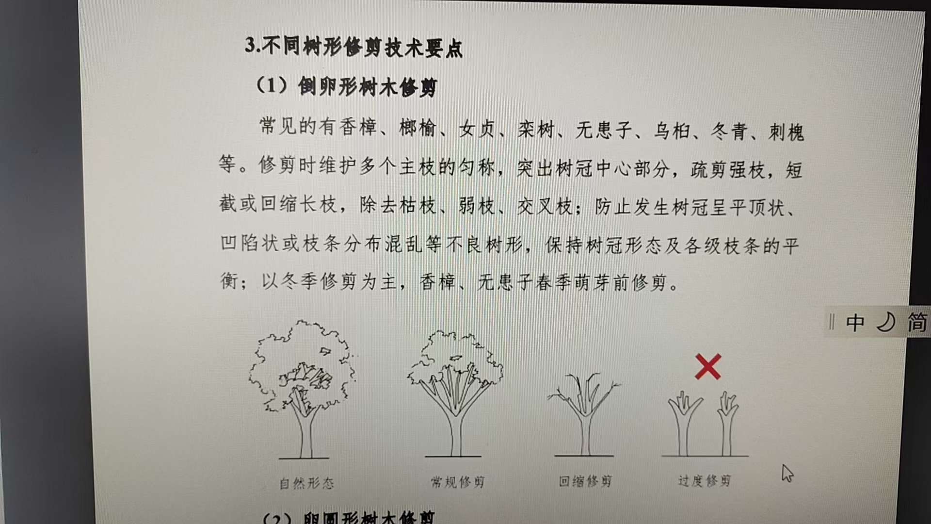 回缩性修剪过度修剪图例