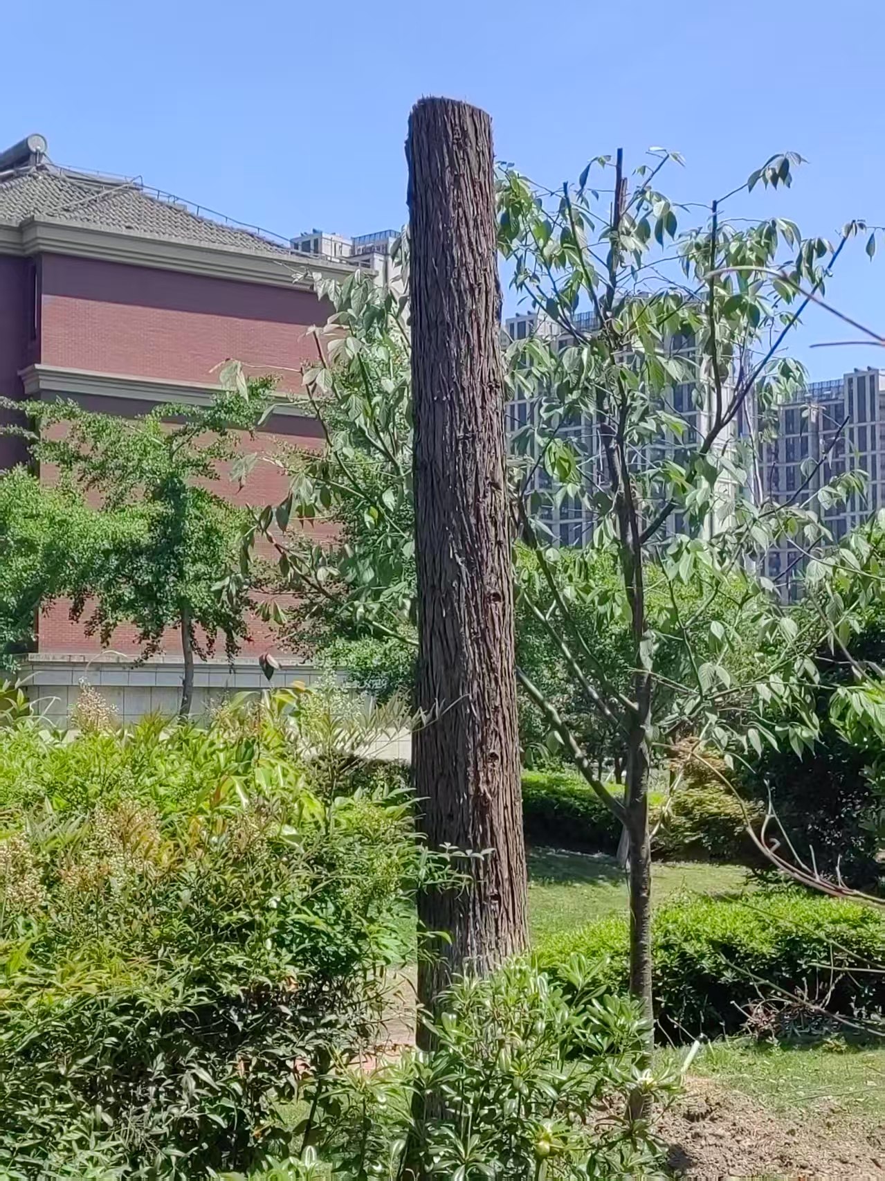 44栋东北一根电线杆子.jpg