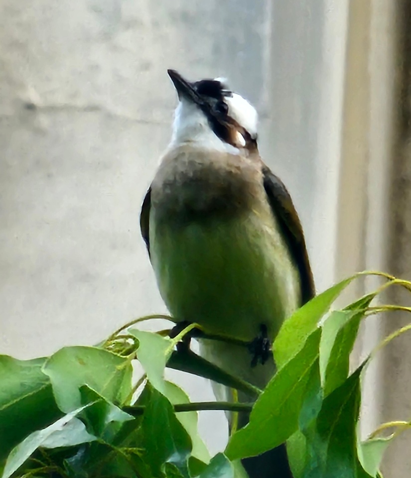 20260503_174742.jpg