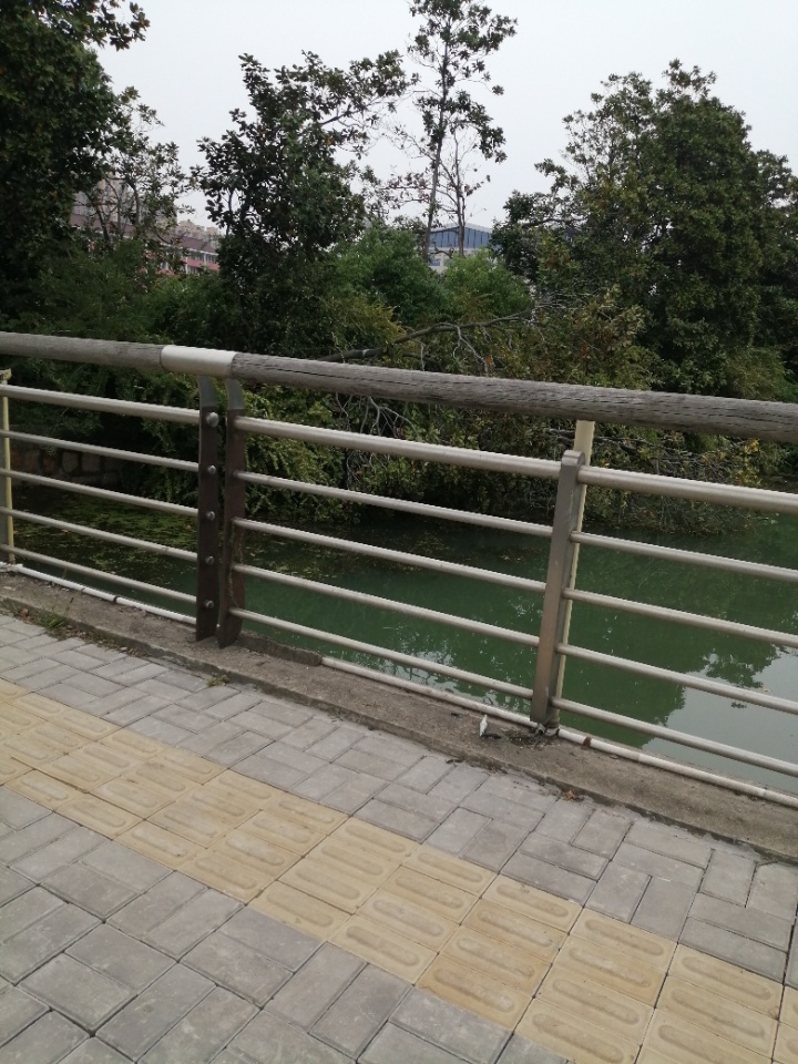 IMG_20260507_164455.jpg