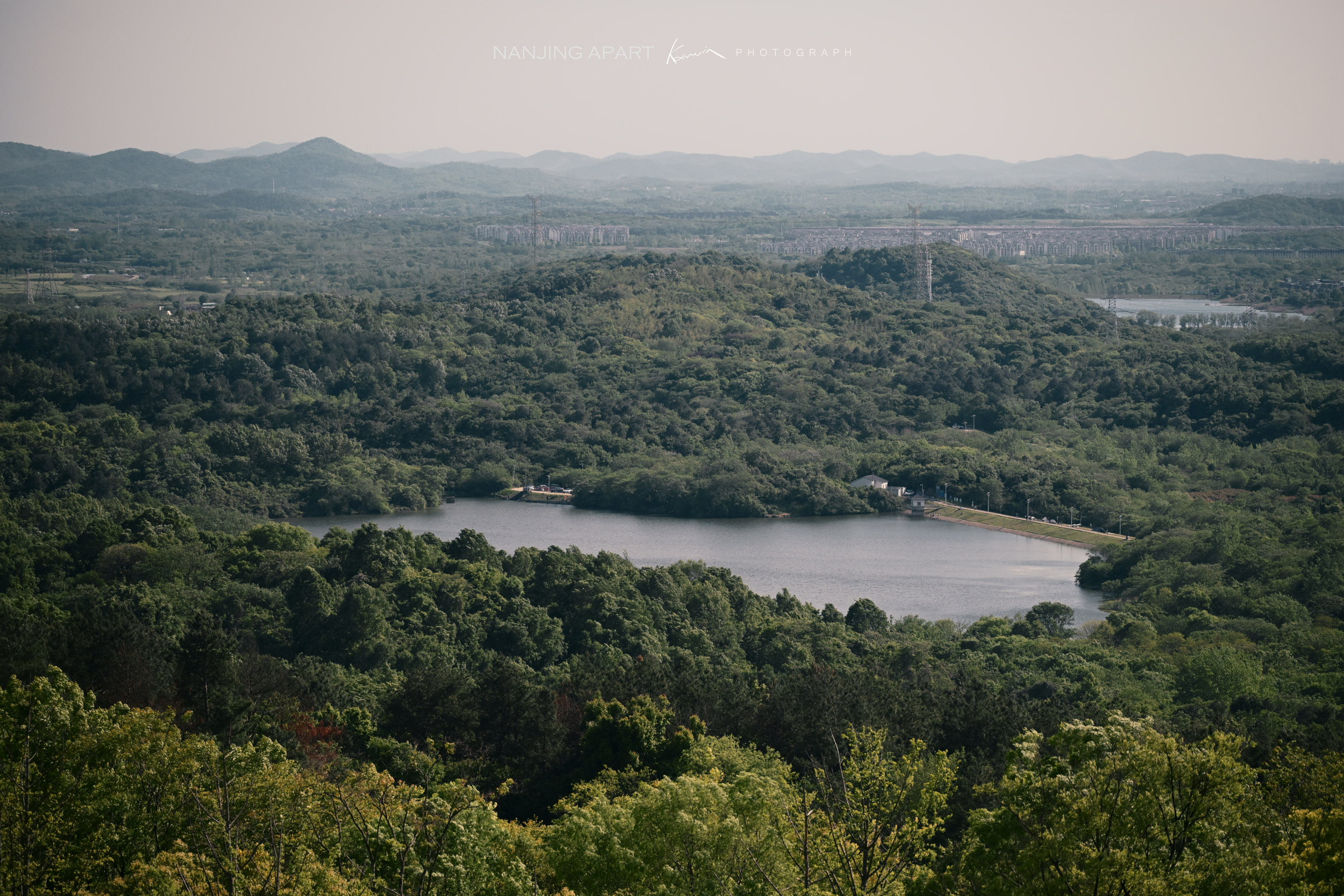 DSC_0278.jpg