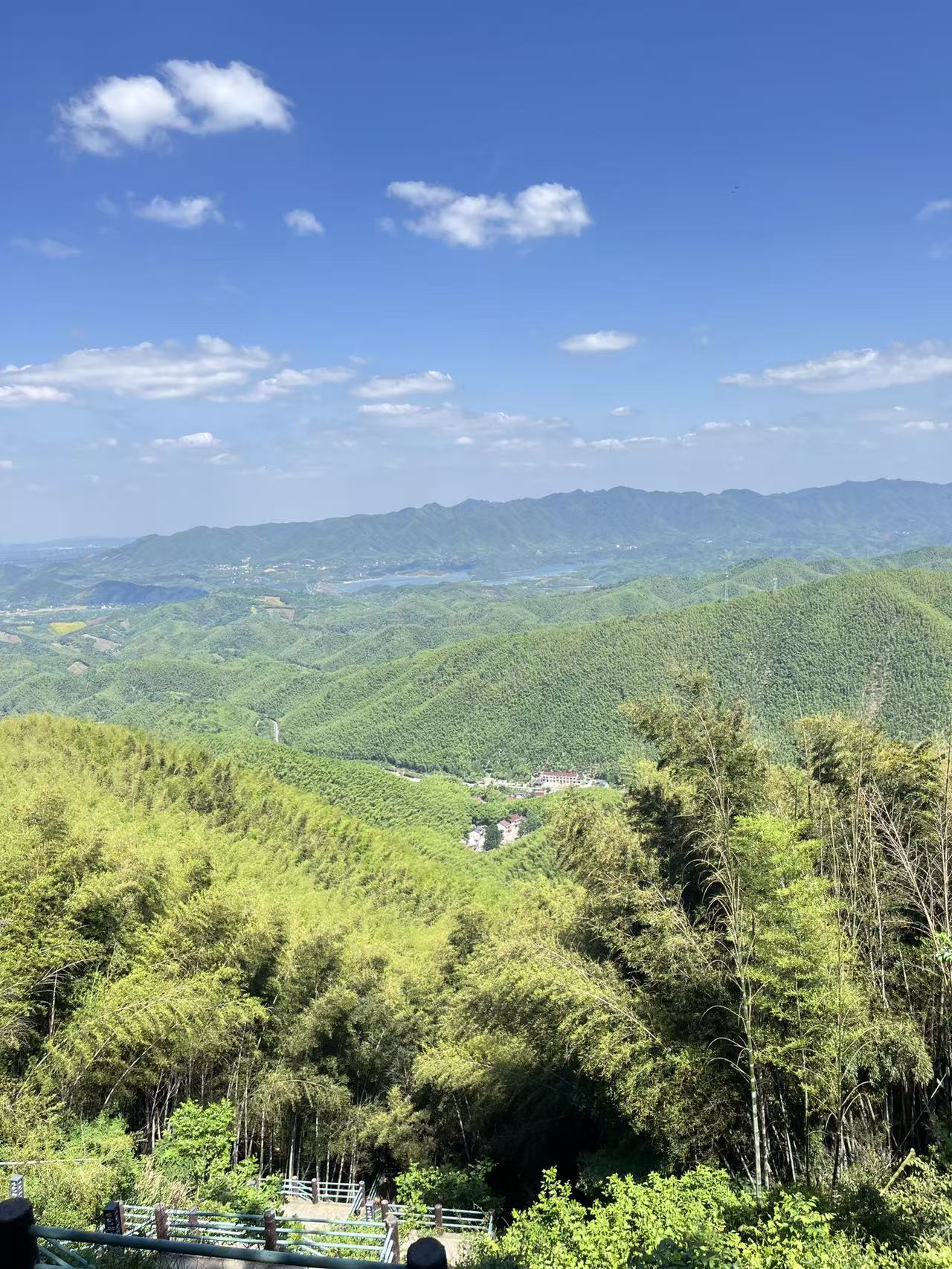 笄山竹海