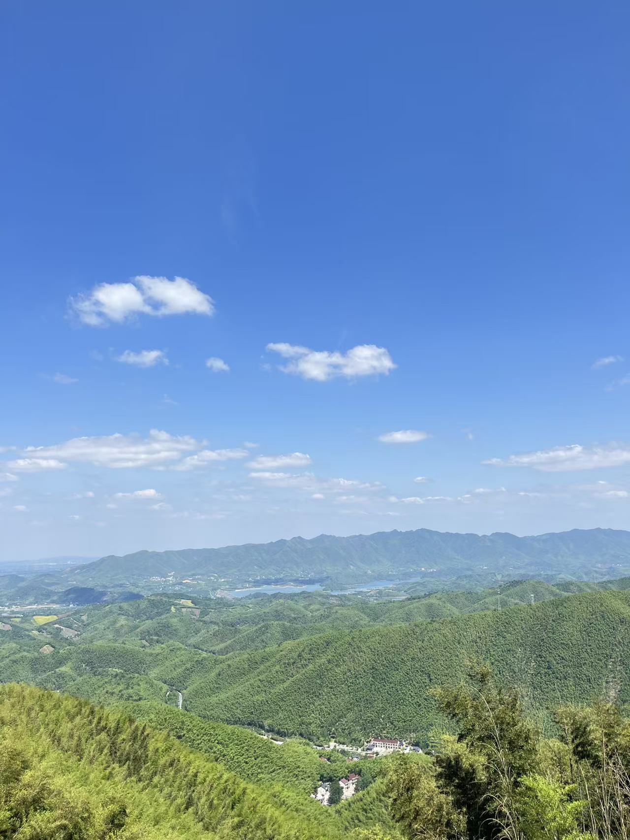 笄山竹海