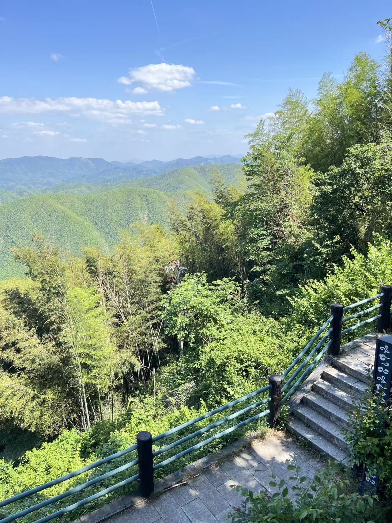 笄山竹海