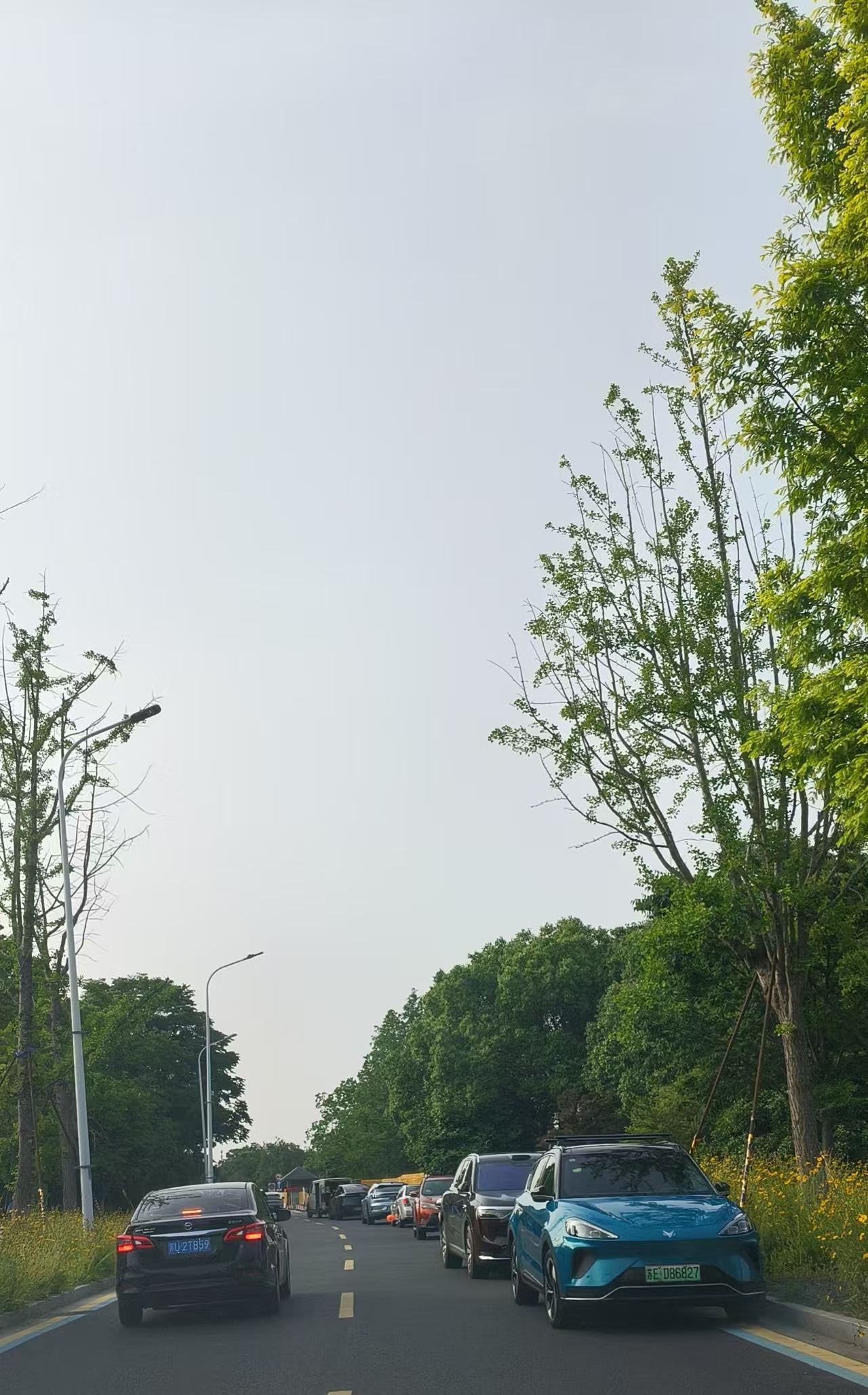 东太湖S湾（阅湖路）艾美酒店西侧路段违停严重.jpg