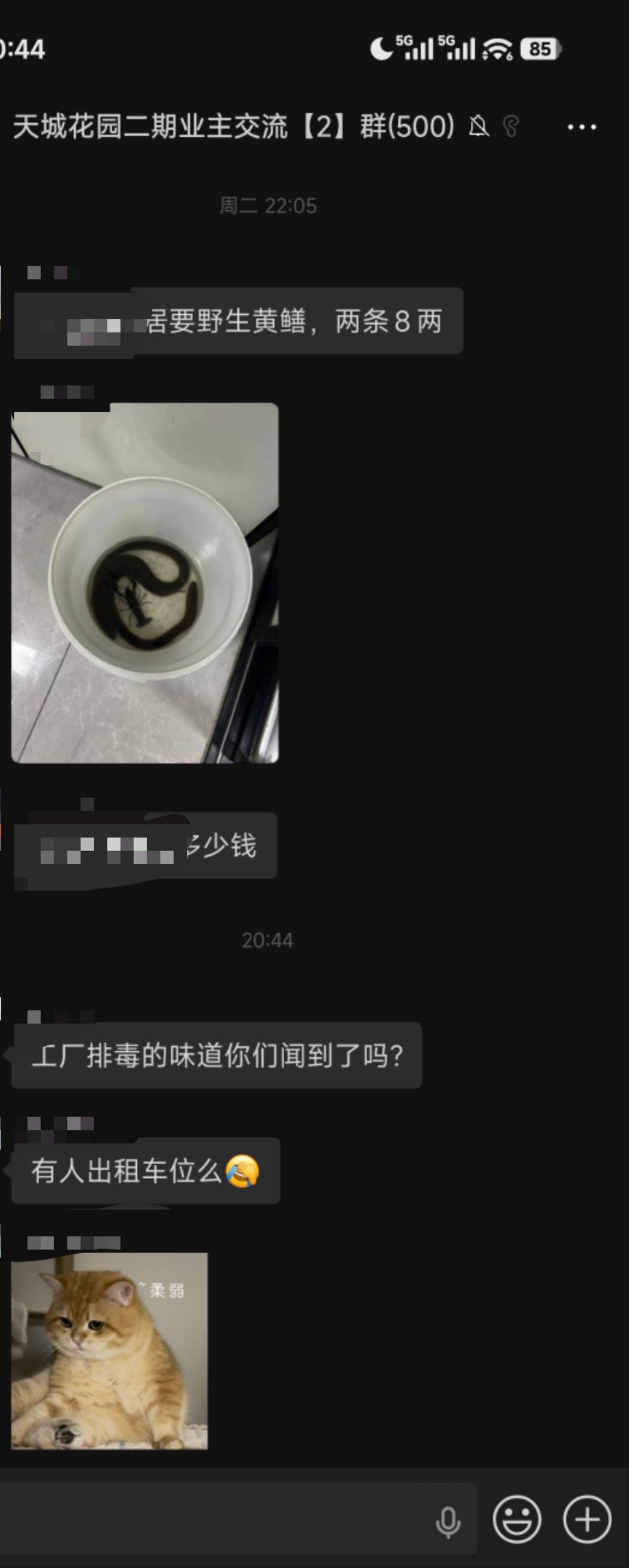 20260530204954mini_bbs_wap_498066_FqrpJV5P9r4vF0YC_Hbipyu-fmai.jpg