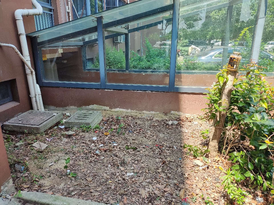 MVIMG_20260601_103639.jpg
