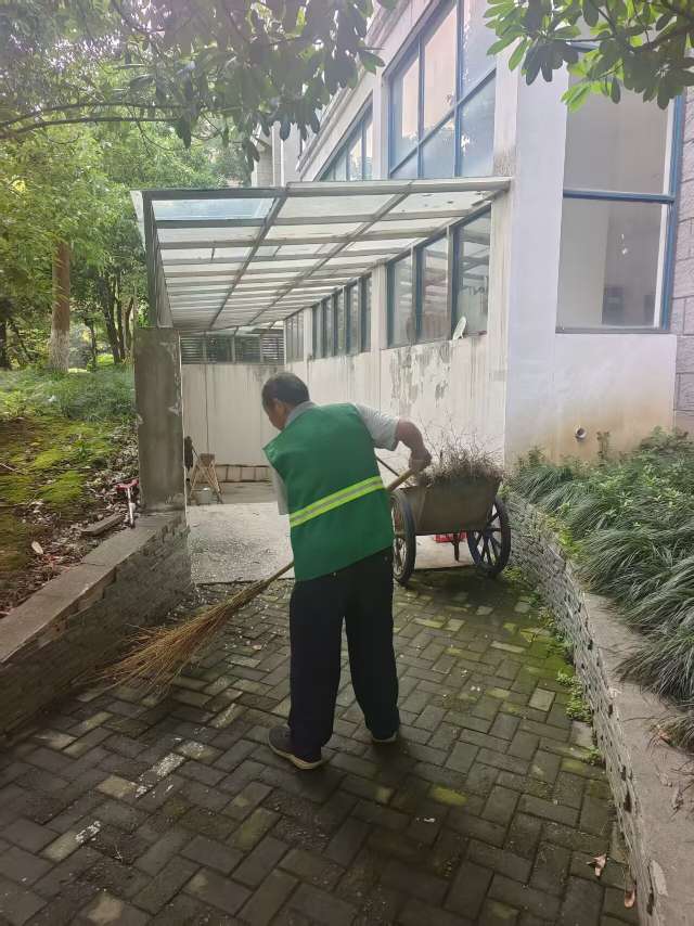 24.jpg