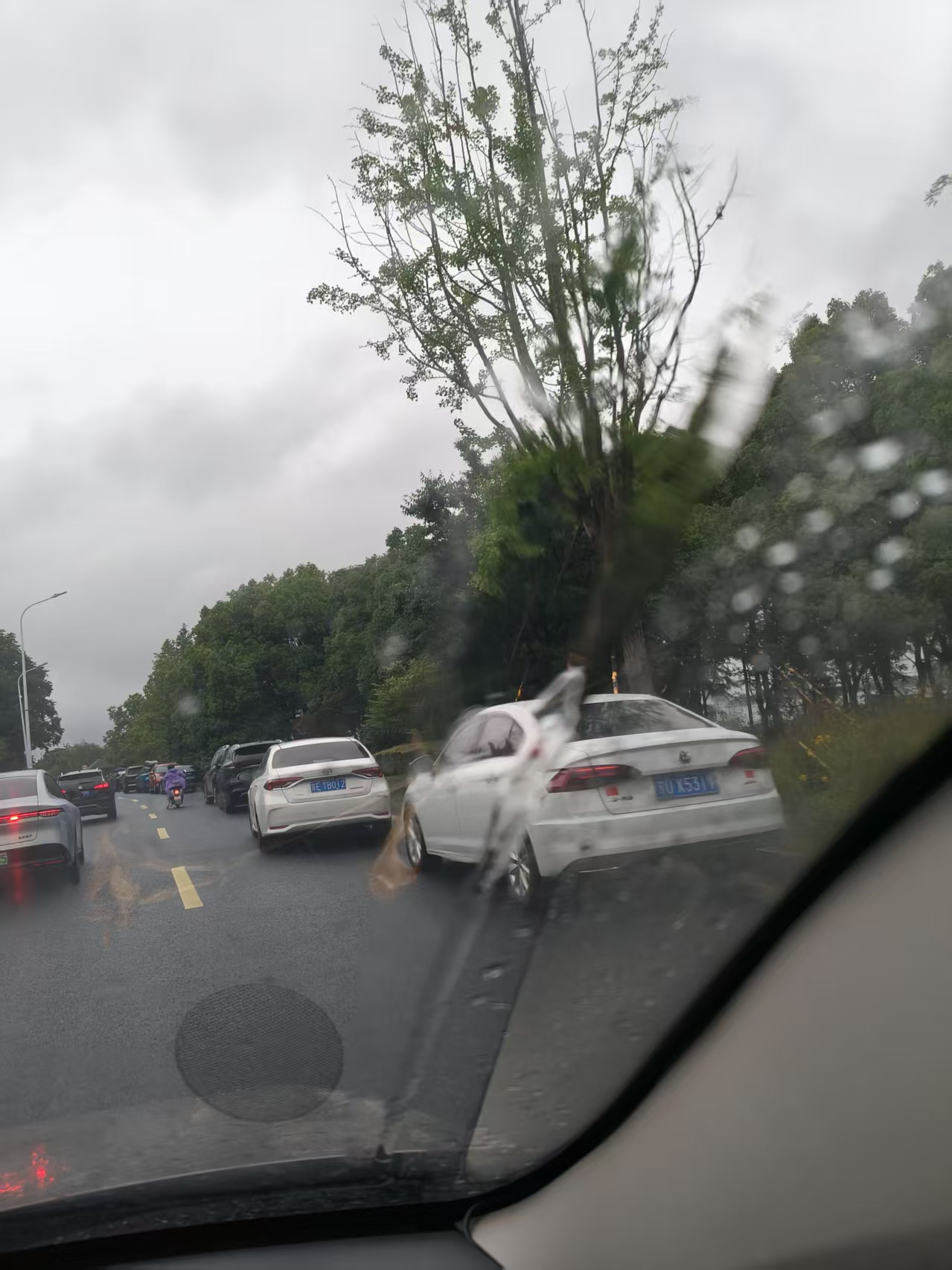 违停2.jpg