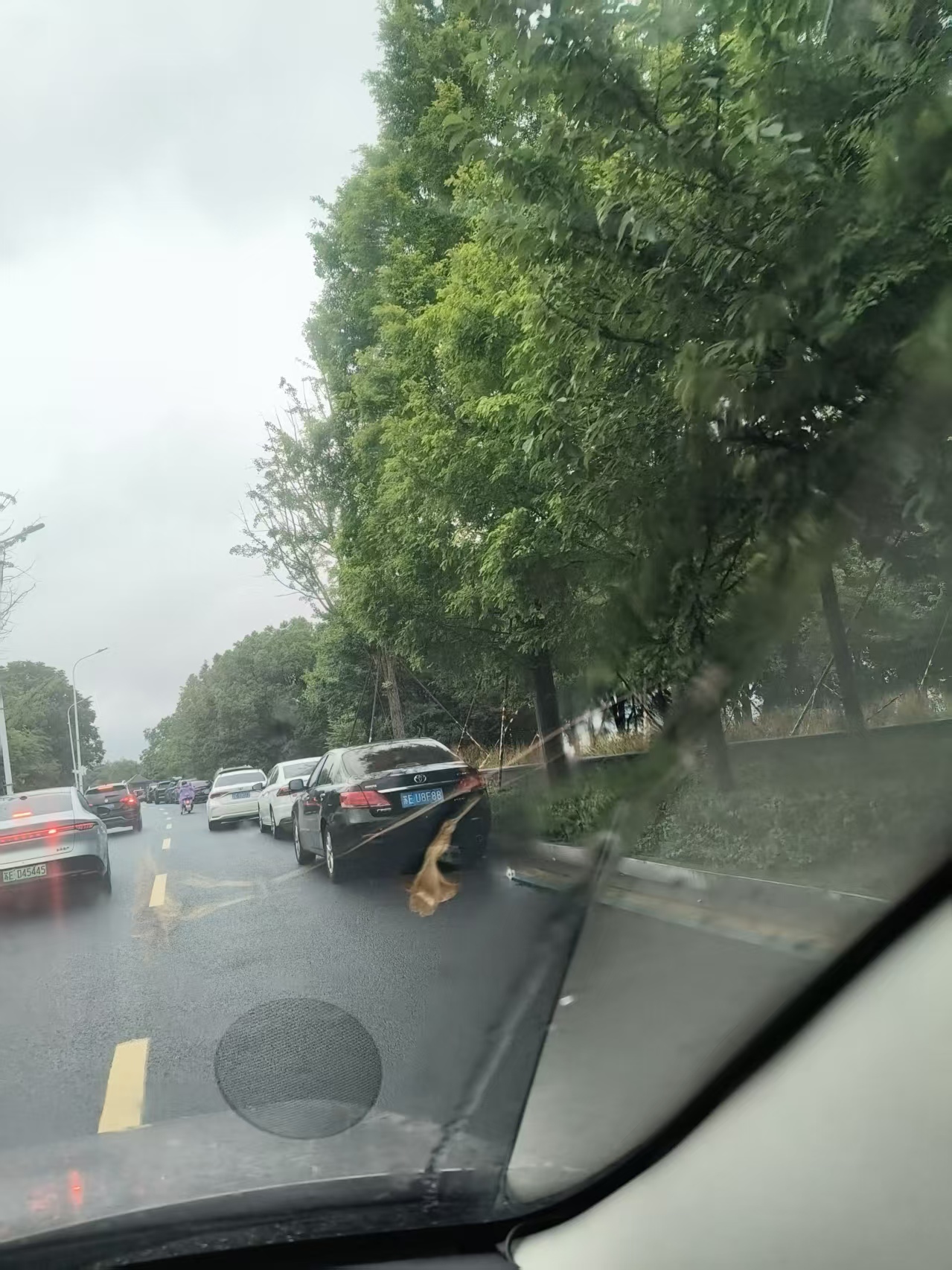 违停1.jpg