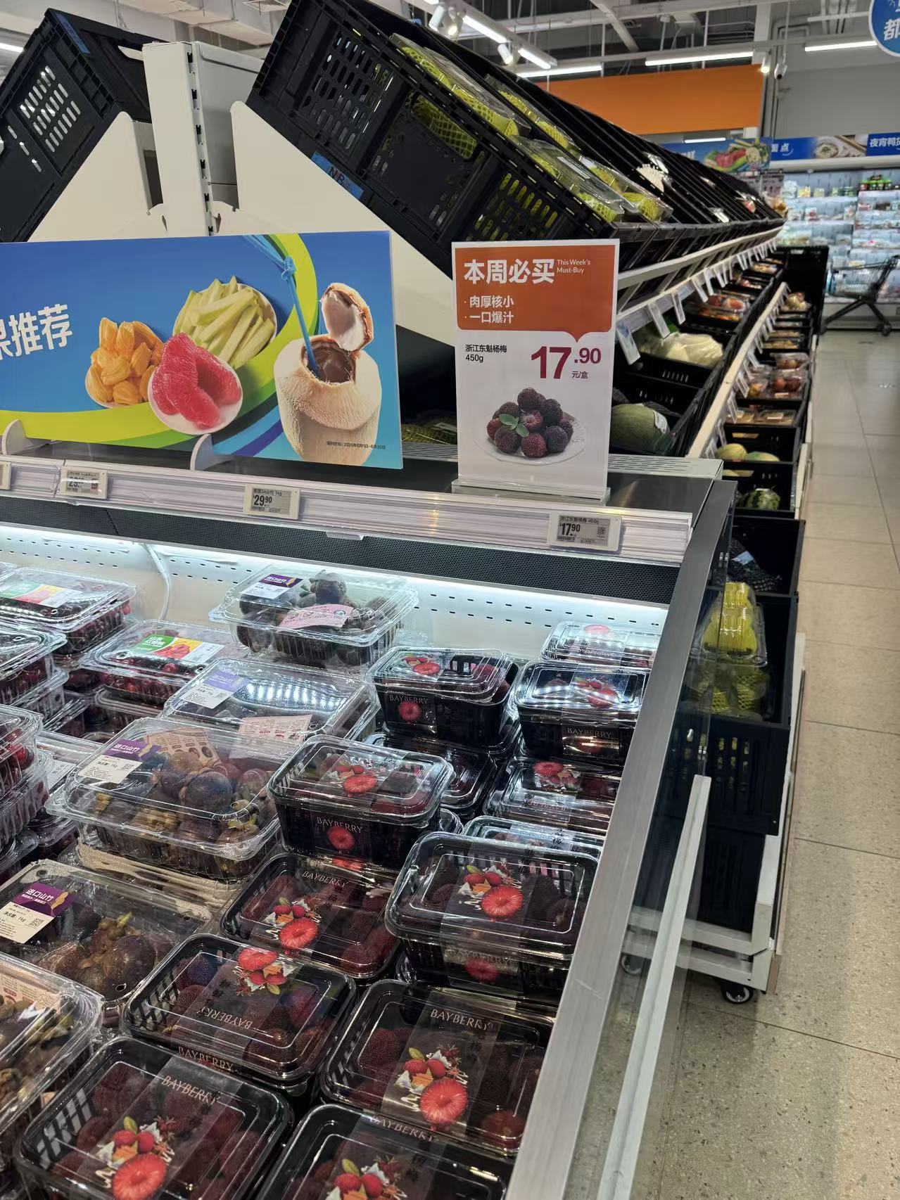 1-杨梅.jpg