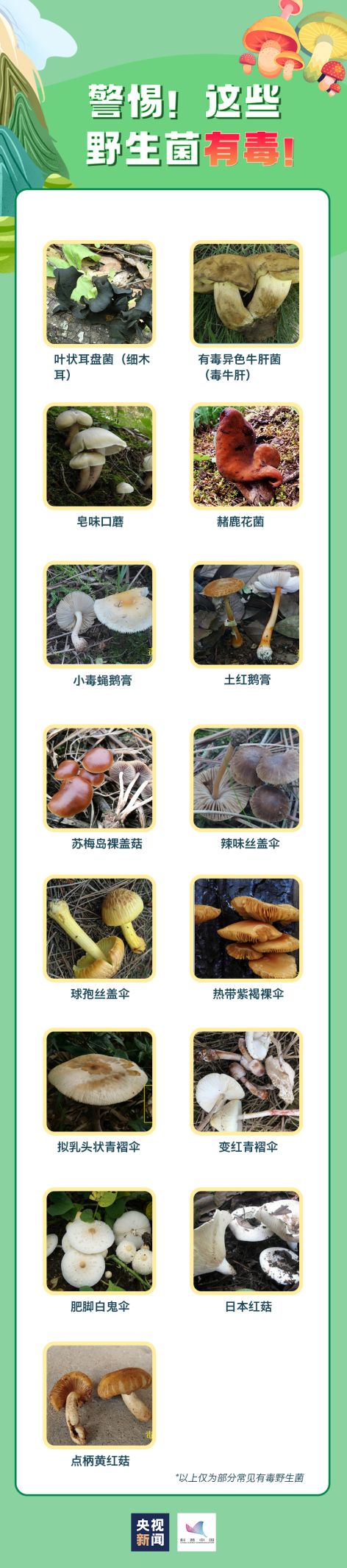 CB20260705174118275086.jpg
